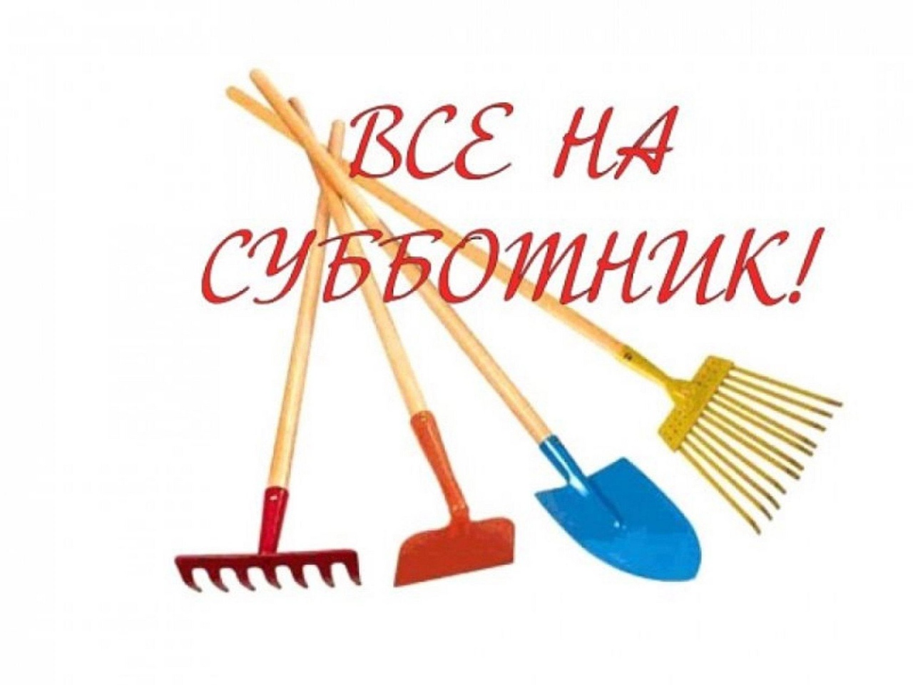 896.jpg